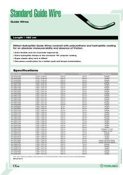 Terumo Guide Wires