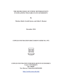 THE DOUBLE ROLE OF ETHNIC HETEROGENEITY IN