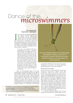 Dance of the Microswimmers - damtp