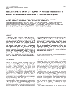 CNS-restricted inactivation of (beta)-catenin - Development