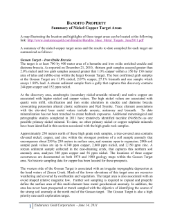 Summary of Nickel-Copper Target Areas