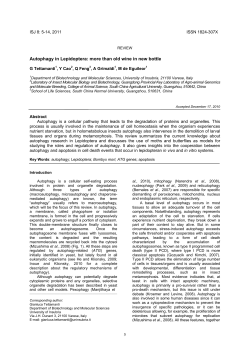 Autophagy in Lepidoptera: more than old wine in new bottle