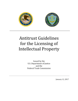 Antitrust Guidelines for the Licensing of Intellectual Property