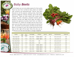 Baby Beets - Babe Farms