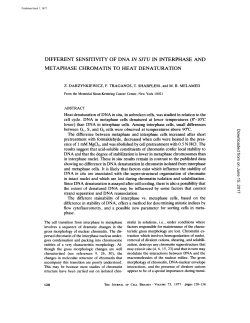 DIFFERENT SENSITIVITY OF DNA IN SITU IN INTERPHASE AND