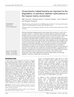 Oceanobacter-related bacteria are important for the