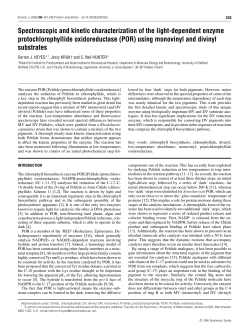 Spectroscopic and kinetic characterization of the light