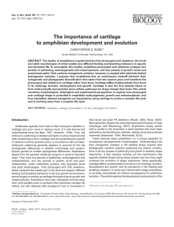 The importance of cartilage to amphibian development and evolution