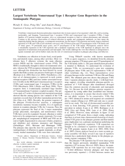 LETTER Largest Vertebrate Vomeronasal Type 1
