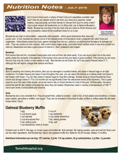 Oatmeal Blueberry Muffin - Tomah Memorial Hospital