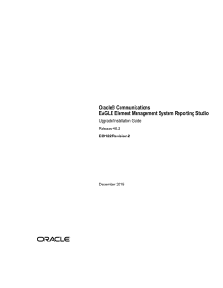 EAGLE Element Management System Reporting Studio