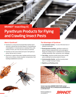 Pyrethrum Products for Flying and Crawling Insect Pests