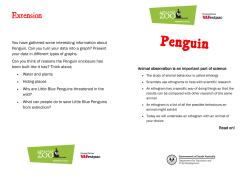 Penguin - Zoos SA