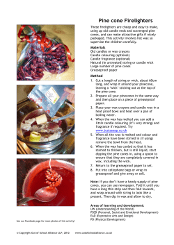 Pine cone Firelighters - Out of School Alliance