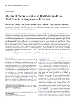 Absence of Plateau Potentials in dLGN Cells Leads to a Breakdown