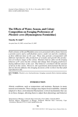 The Effects of Water, Season, and Colony Composition on Foraging