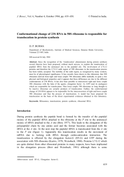 as a PDF