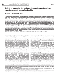 Cdk12 is essential for embryonic development and the