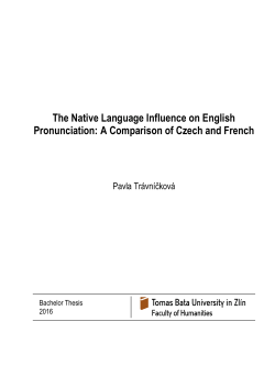 &Scaron;ablona -- Diplomov&aacute; pr&aacute;ce