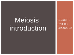 Meiosis introduction
