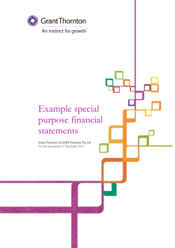 Special Purpose Example Financial Statements