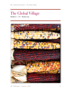 The Global Village - impossible2Possible