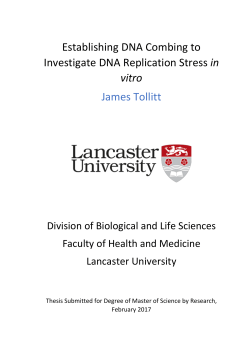 - Lancaster EPrints