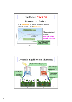 Dynamic Equilibrium Illustrated