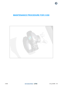 maintenance procedure for x 650