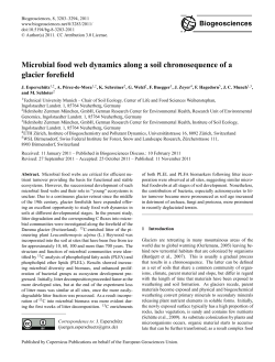 Microbial food web dynamics along a soil