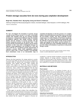 Protein storage vacuoles form de novo during pea cotyledon