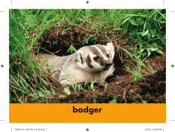 On the Banks of Plum Creek - Moser/Carolan Team Website