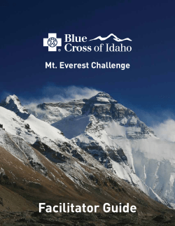 Mt. Everest Facilitator Guide