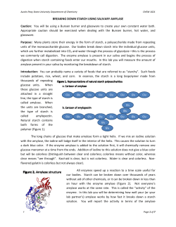 BREAKING DOWN STARCH USING SALIVARY AMYLASE Caution