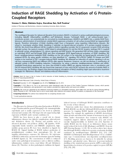 Induction of RAGE Shedding by Activation of G Protein