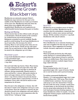 Home Grown Blackberries