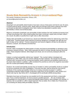 Steady-State Permeability Analysis in