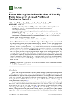 Factors Affecting Species Identifications of Blow Fly Pupae Based
