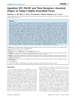 Agnathan VIP, PACAP and Their Receptors: Ancestral Origins of