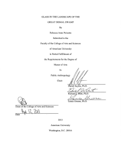 Glass in the Landscape of the Great Dismal Swamp