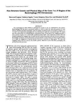 Fine Structure Genetic and Physical Map of the Gene 3 to