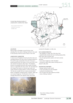 area summary assessment guidelines evaluation STORT MEADS