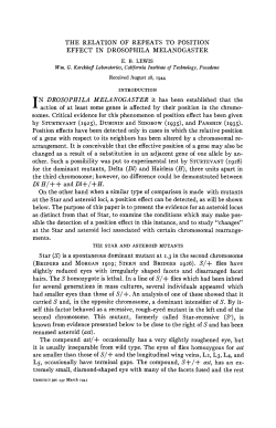 THE RELATION OF REPEATS TO POSITION EFFECT IN