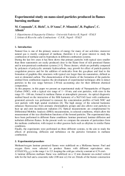Experimental study on nano-sized particles produced in flames