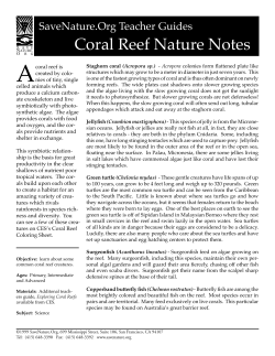 Coral Reef Nature Notes