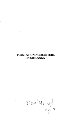 plantation agriculture in sri lanka