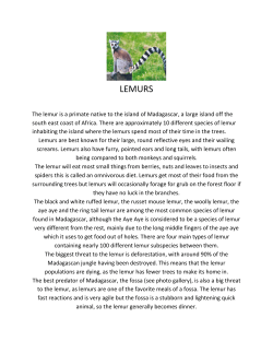 LEMURS