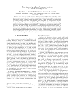 Flow-induced pruning of branched systems and brittle reconfiguration