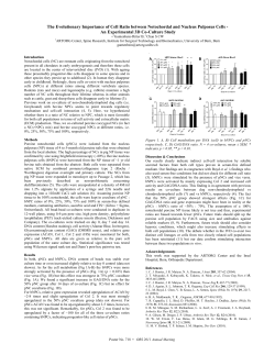 The Evolutionary Importance of Cell Ratio between Notochordal and