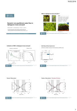 Dynamic non-equilibrium water flow in Sphagnum moss and peat